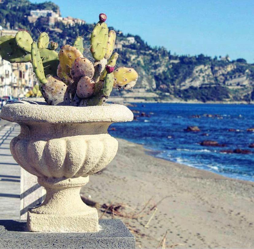 Apartment Le Conchiglie Di Venere-venus Giardini Naxos